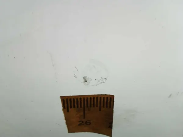 OEM 8611AGAMVWZ Framruta för Audi A6 C7 2010-2012 image 6