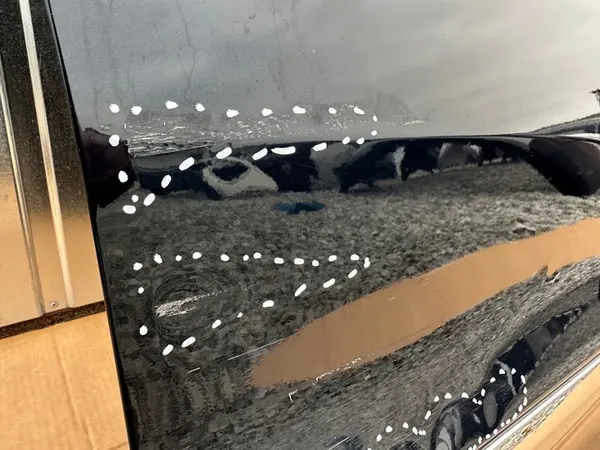 Fram Höger Dörr Kia Niro image 9