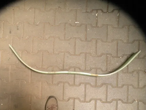 OEM 6819300 takajousi Volvo 960 II S90 V90:lle image 5