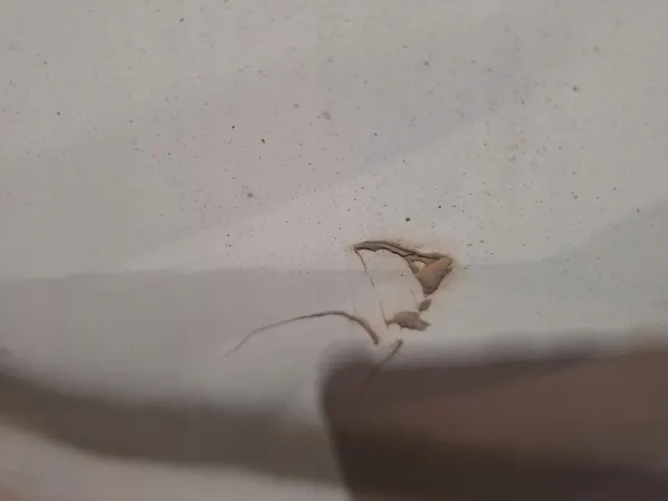 Citroen Motorhuv 7901 K5 image 5