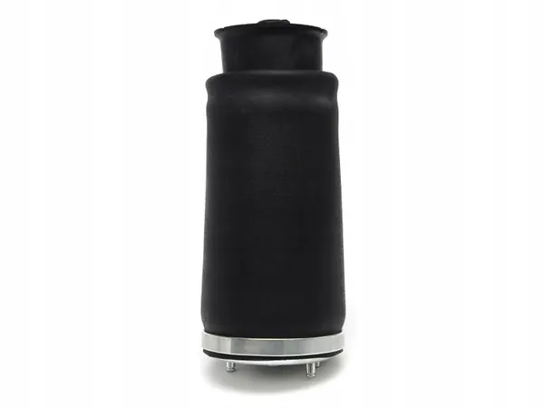 Mola de ar OEM D065810 para BMW 5 E39 Touring image 3