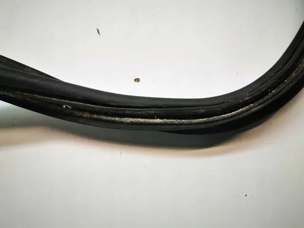 Nissan 370Z 2009 Türdichtung OEM AAA13354 image 4