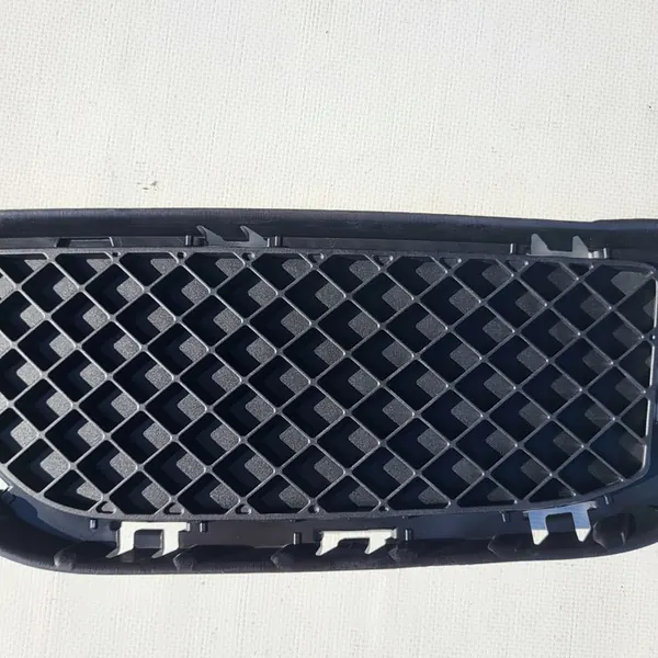 Griglia paraurti sinistra BMW X1 (E84) 2009-2015 51117303755 image 4