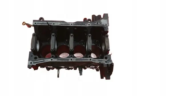 Bloc Moteur Nissan OEM 18246 pour X-Trail T30 2.2D image 2