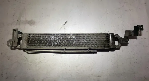 Refroidisseur direction QGC500171 pour Land Rover Range Rover image 4