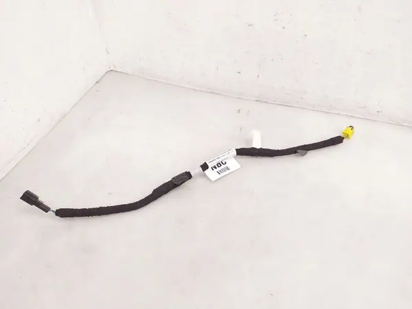 Bedrading Ford Mustang Mach-E image 1