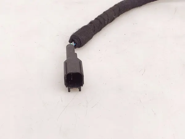 Bedrading Ford Mustang Mach-E image 2