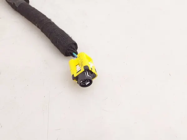 Bedrading Ford Mustang Mach-E image 3