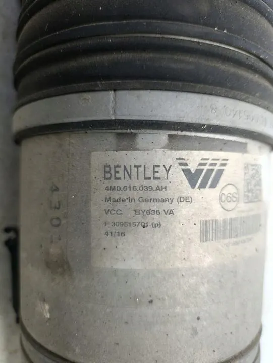 Amortecedor pneumático OEM 4M0616039 dianteiro esquerdo Bentley Bentayga 2017 image 9