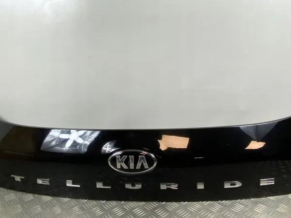 Kia Telluride dashboard lichtstrip OEM 87311S9000 image 5