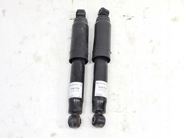 Amortisseur Arrière Paire OEM 314715 pour Ducato image 2