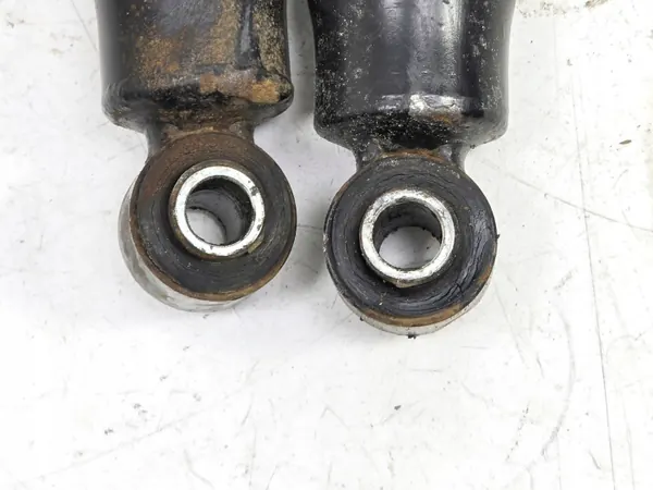 Amortisseur Arrière Paire OEM 314715 pour Ducato image 4