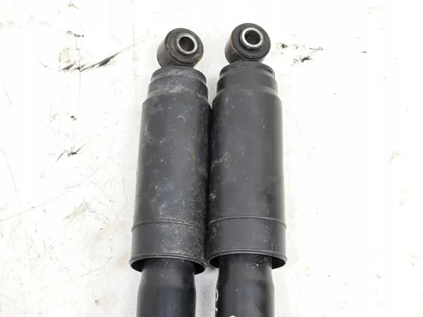 Amortisseur Arrière Paire OEM 314715 pour Ducato image 5