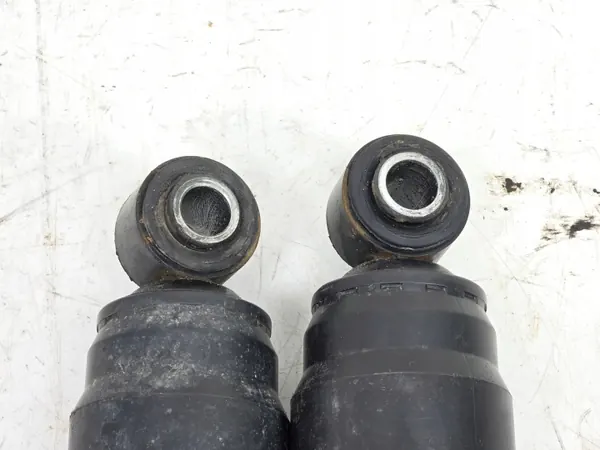 Amortisseur Arrière Paire OEM 314715 pour Ducato image 6