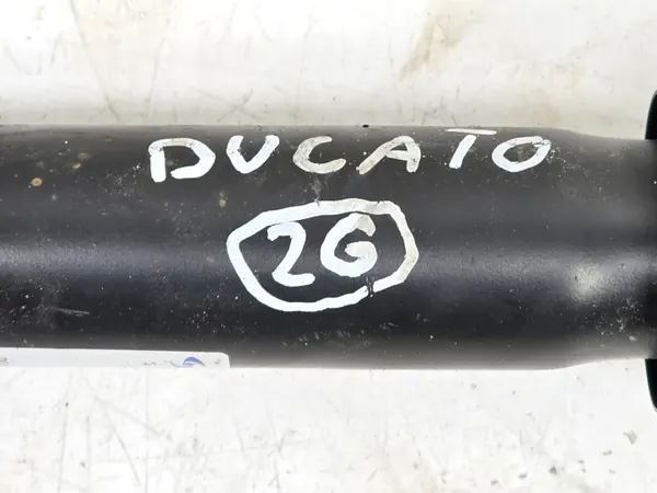 Amortisseur Arrière Paire OEM 314715 pour Ducato image 7