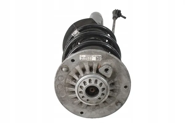 Ammortizzatore posteriore sinistro BMW F20 F21 F33 6865128 image 2