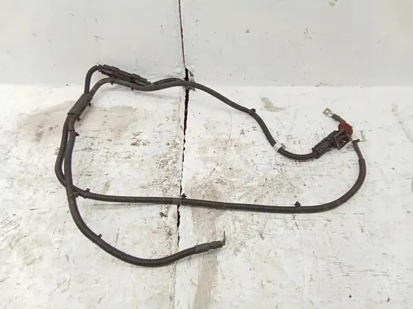 Bedrading Volkswagen Crafter A9065400105 image 1