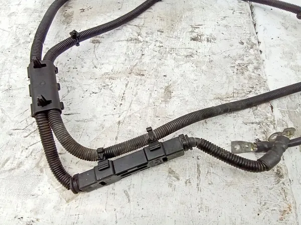 Bedrading Volkswagen Crafter A9065400105 image 7