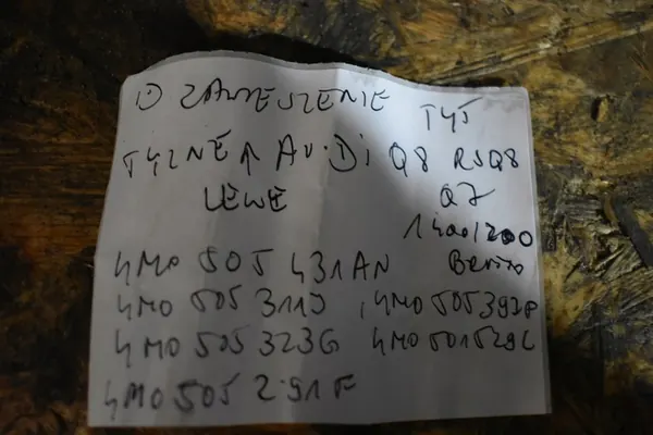 Sospensione Posteriore Sinistra Audi Q8 RSQ8 Q7 Lift OEM image 8