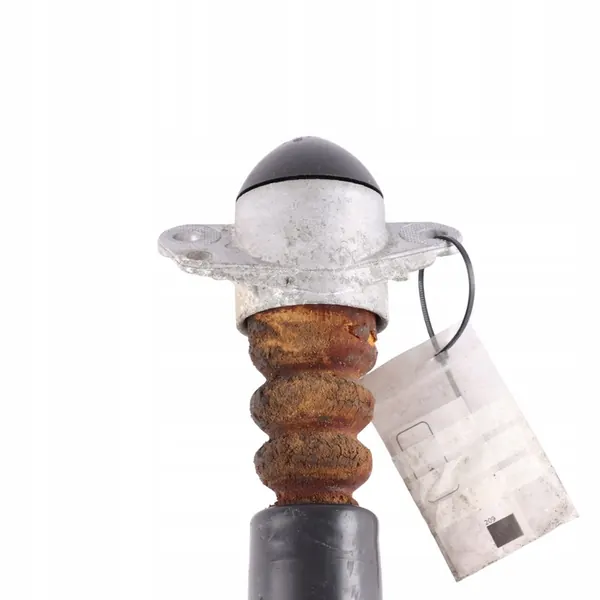 Ammortizzatore Posteriore Skoda Fabia 5J 6Q0513025P image 5