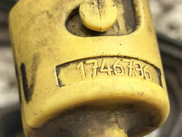 DAF Ölmessstab OEM 1746736 - Gebrauchter Zustand image 3
