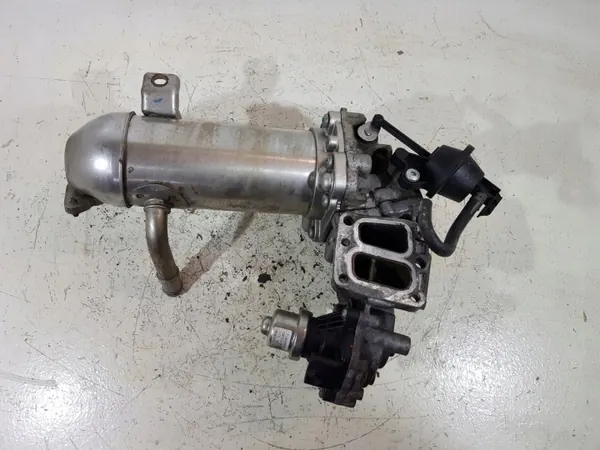 Koeler Ford OE GK2Q-9F464-AB, motor koeling image 7