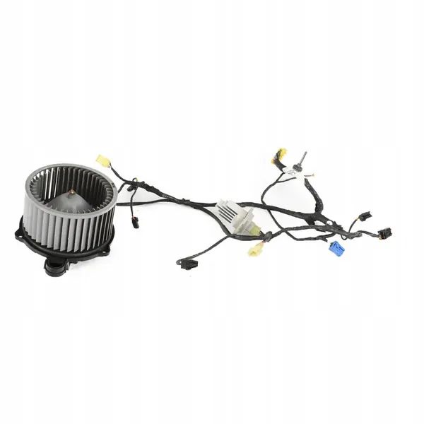 Résistance de chauffage Tesla Model S 6008246-00-B image 1