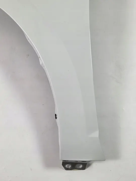 Parafango anteriore sinistro VW Polo VI 2017 - 2G0821105 OEM image 8