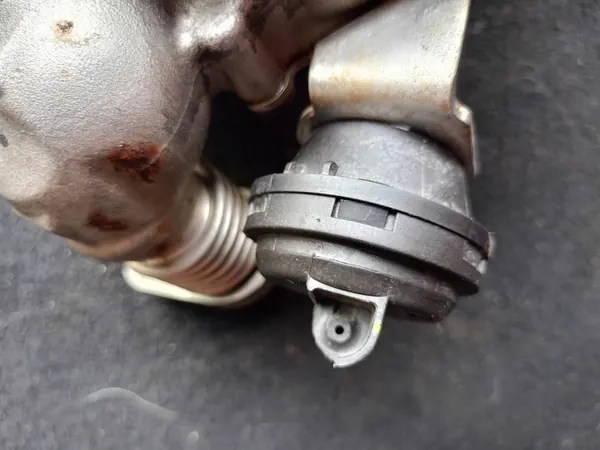 Enfriador EGR BMW F10 F11 N47 7822350 image 3