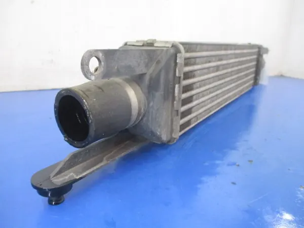 Intercooler FIAT LINEA 1.3JTD 51785221 image 3