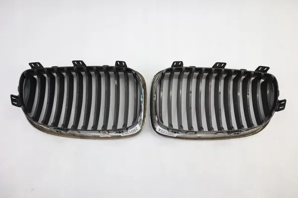 BMW 1 E87 Lift Grill NERKA 7166440 716439 Complete image 4