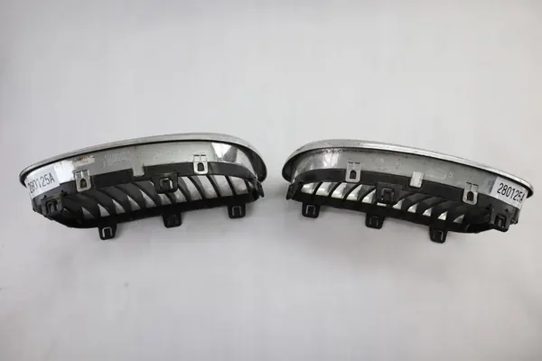 BMW 1 E87 Lift Grill NERKA 7166440 716439 Complete image 6