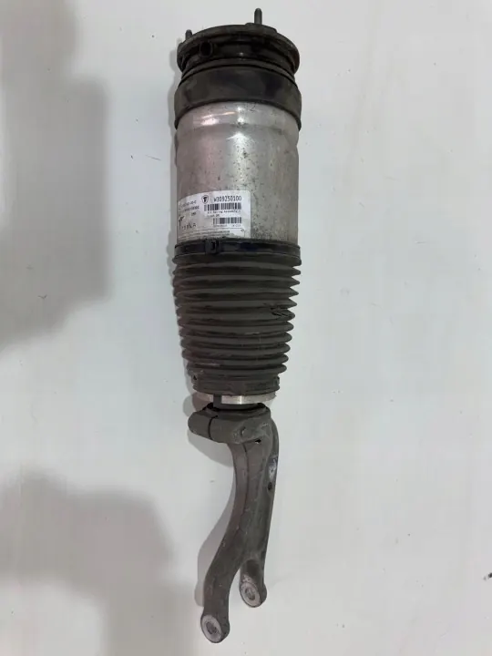 Tesla Luchtvering Demper OEM GRG1067361-00-C image 2