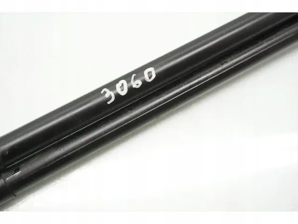 Nissan Qashqai/Qashqai+2 Takaluukun jousi 2007 SUV image 2