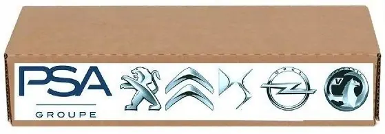 Hinteres Rechtes Bremssattel Original 1608998980 PSA image 2