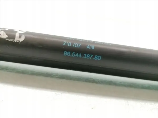 Takaluukun iskunvaimennin Citroen C4 Picasso 2007 Diesel OEM image 3