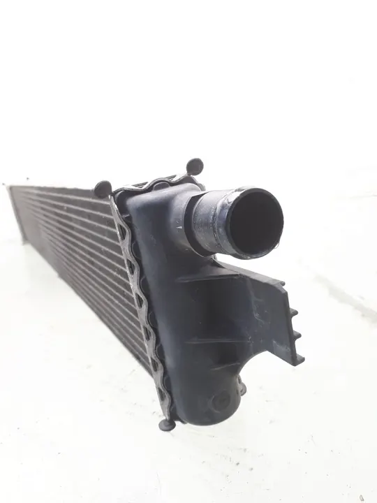 Radiador de agua Renault Master III 2016 ARA208814 image 4