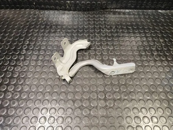 Bisagras capó Nissan Murano OEM 1AAL - Usado image 3