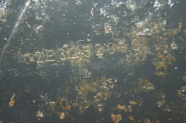 Capa Mechatronica DSG DQ250 image 5