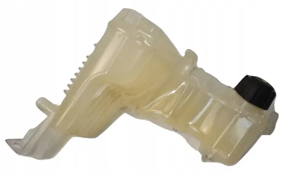 Ausgleichsbehälter Renault Laguna III image 2