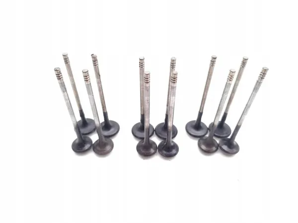 Klep Ford Fiesta OEM SFJA 1.0 EcoBoost 100PK image 2