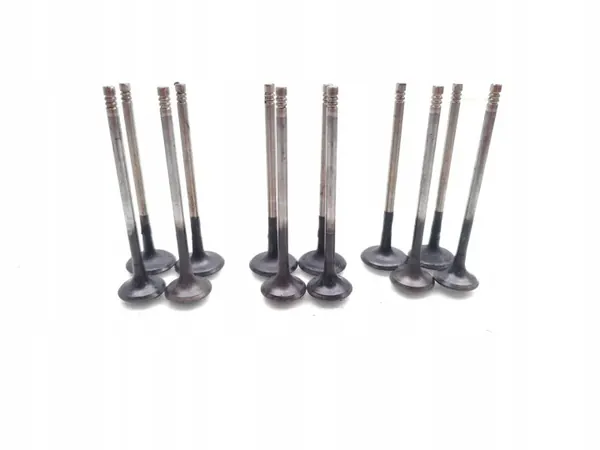 Klep Ford Fiesta OEM SFJA 1.0 EcoBoost 100PK image 10