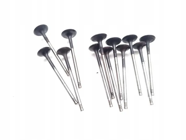 Klep Ford Fiesta OEM SFJA 1.0 EcoBoost 100PK image 6