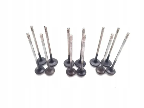 Klep Ford Fiesta OEM SFJA 1.0 EcoBoost 100PK image 9