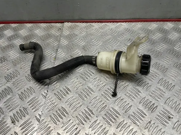Depósito dirección asistida Citroen C5 III X7 1.6 E-HDI image 2