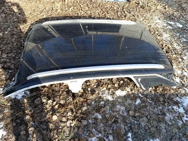 Dach Peugeot 3008 II OEM Dach3008 - Gebraucht image 3