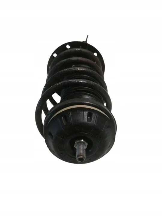 Ammortizzatore a molla anteriore sinistro Fiat Grande Punto image 4