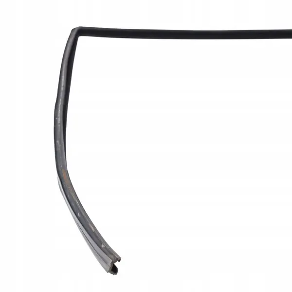 Guia de Janela Traseira Direita Land Rover LR015285 image 6