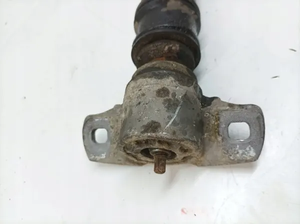 Hydraulischer Stoßdämpfer Hinten OEM 5907911257545 image 3