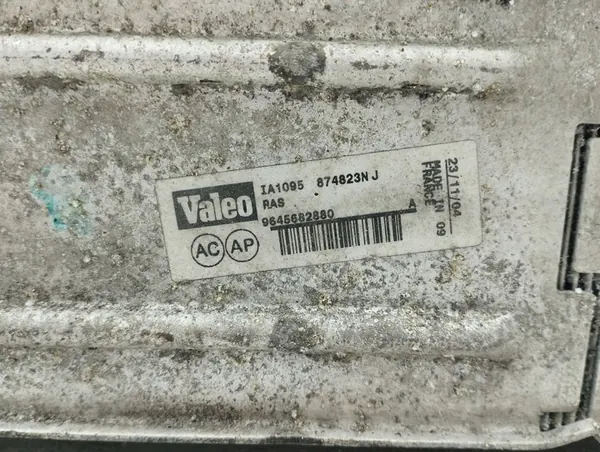 Peugeot 407 2005 Intercooler image 8